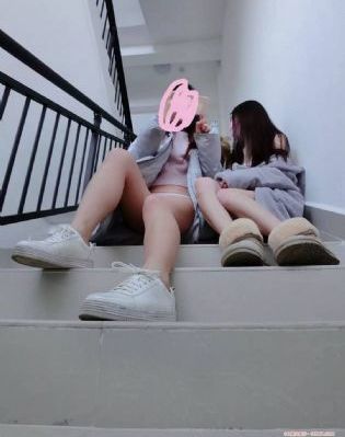 龙雀卫之噬魂蛛